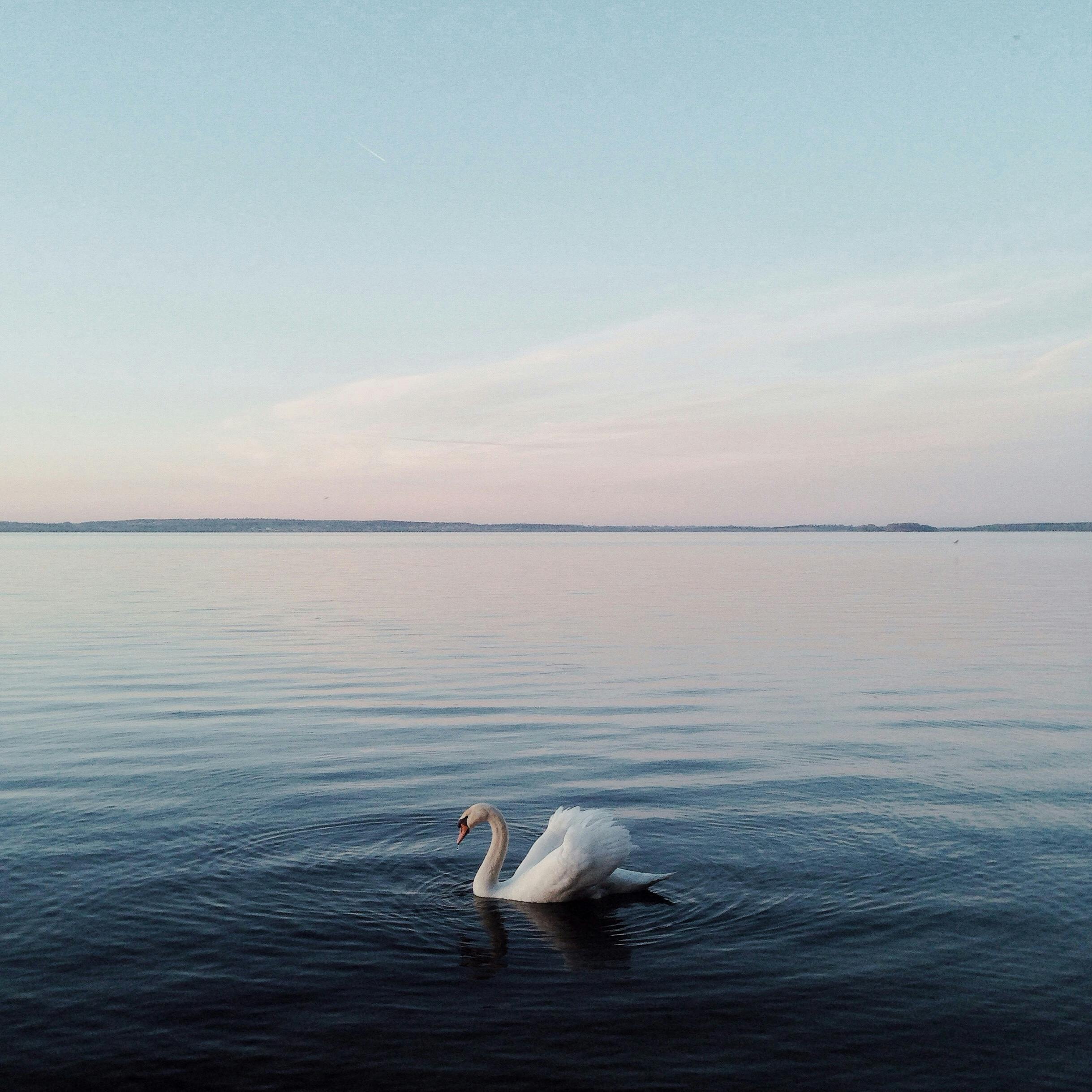 Fotografía de paisaje minimalista